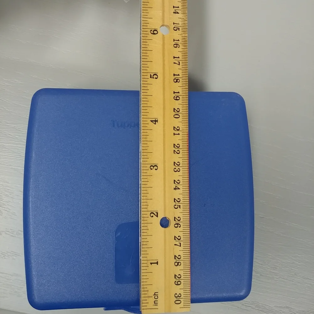 Tupperware Sandwich Container #3752C-1 Blue